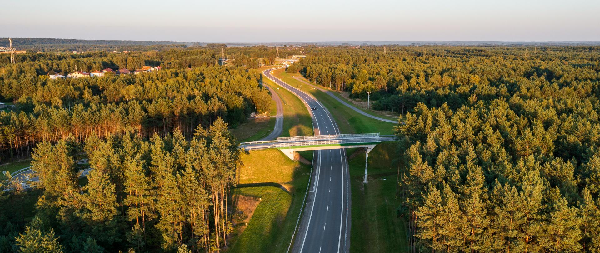 Zdjęcie wykonane z lotu ptaka pokazuje prosty, dwupasmowy odcinek drogi przebiegający przez gęsty las sosnowy. Przez drogę przechodzi niewielki wiadukt dla lokalnej drogi lub ścieżki. Po obu stronach widać rozległe połacie drzew, a całość jest oświetlona ciepłym, niskim światłem zachodzącego lub wschodzącego słońca. Droga łagodnie zakręca w oddali i znika wśród lasu