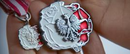 Odznaka Honorowa za Zasługi dla Polonii i Polaków za Granicą