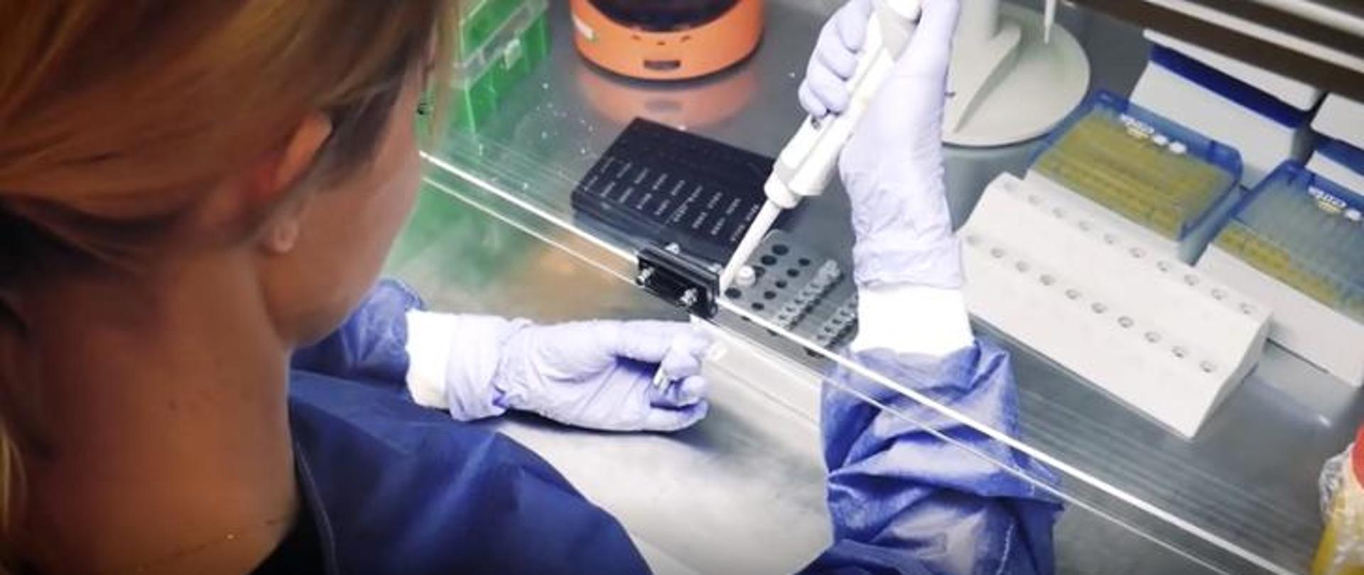 Diagnosta laboratoryjny podczas przeprowadzania badania