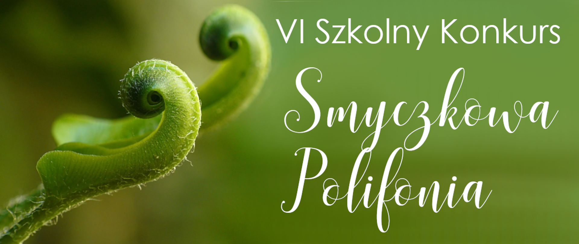 Na tle zielonego zdjęcia napis białym fontem VI Szkolny Konkurs Smyczkowa Polifonia