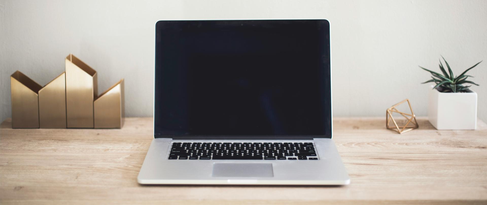 Laptop na komodzie, obok kwiatek w doniczce i pojemniki na długopisy