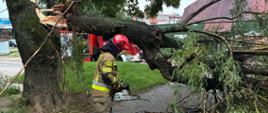 Strażak przygotowuje się do odcięcia powalonego pnia drzewa przy wykorzystaniu pilarki
