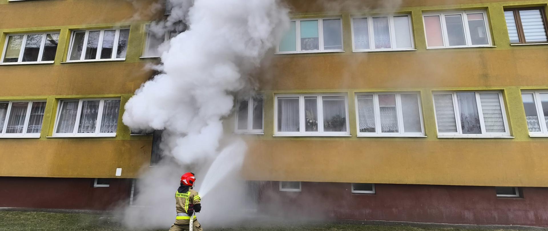 Strażak w czerwonym hełmie i żółtej kurtce kieruje strumień wody z węża w stronę wejścia do budynku, z którego wydobywa się gęsty biały dym. Budynek ma żółto‑zieloną elewację, białe okna i bordowy dół. Scena przedstawia aktywną akcję gaśniczą.