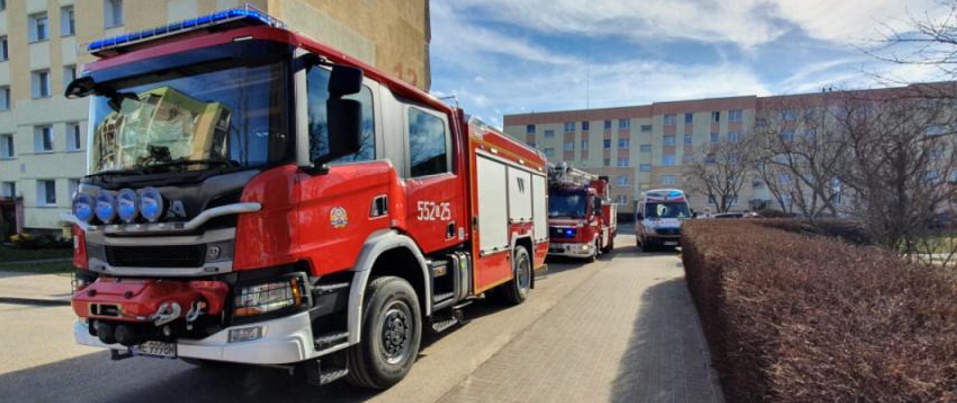 na zdjęciu widoczne są pojazdy pożarnicze biorące udział w działaniach gaśniczych, w tle widać bloki, po prawej stronie widać żywopłot