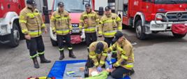 Na fotografii strażacy z KP PSP w Malborku pokazują jak prawidłowo wykonać masaż serca. 