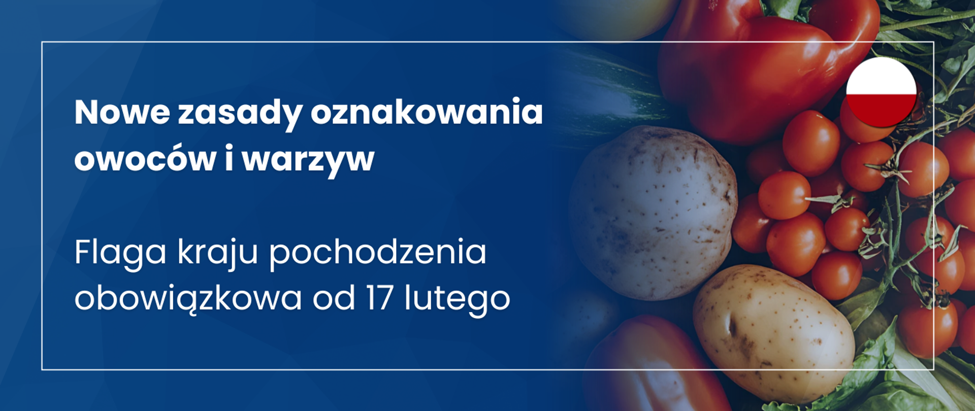 grafika z owocami i napisem nowe zasady oznakowania owoców i warzyw