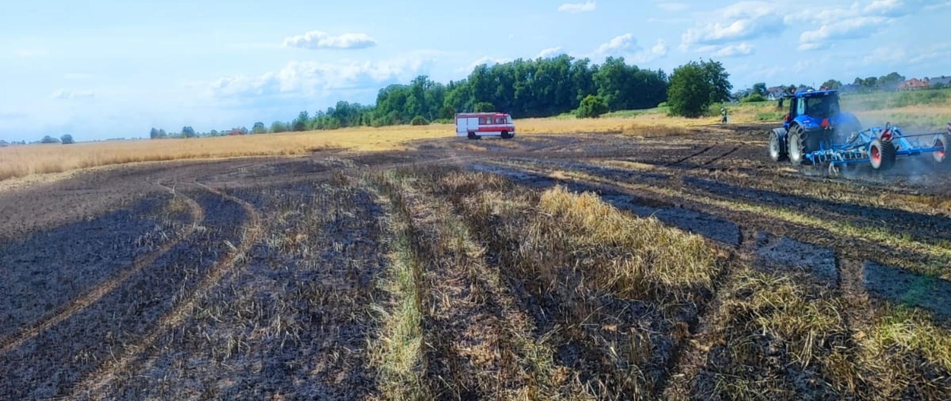 Spalone pole, po prawej ciągnik