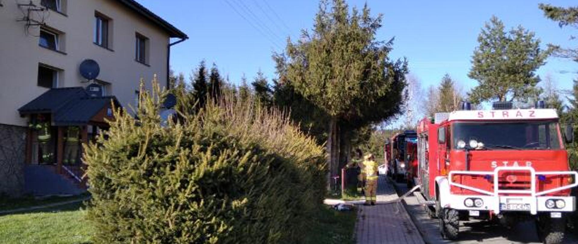 Na zdjęciu widać samochody pożarnicze ustawione wzdłuż chodnika na którym stoi strażak w ubraniu specjalnym w lewym boku znajduje się blok do którego rozwinięte są węże pożarnicze. Na środku zdjęcia widać krzew oraz drzewa. Blok ma jasną elewację.
