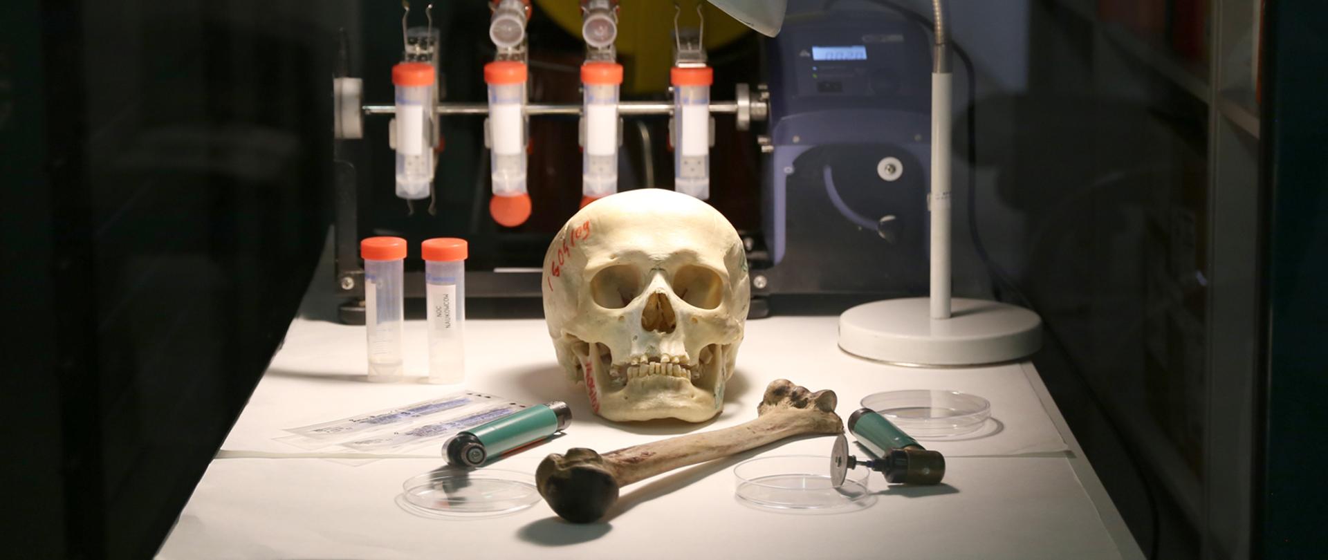 Małopolska Noc Naukowców 2023