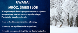 Uwaga na mróz, śnieg i lód!