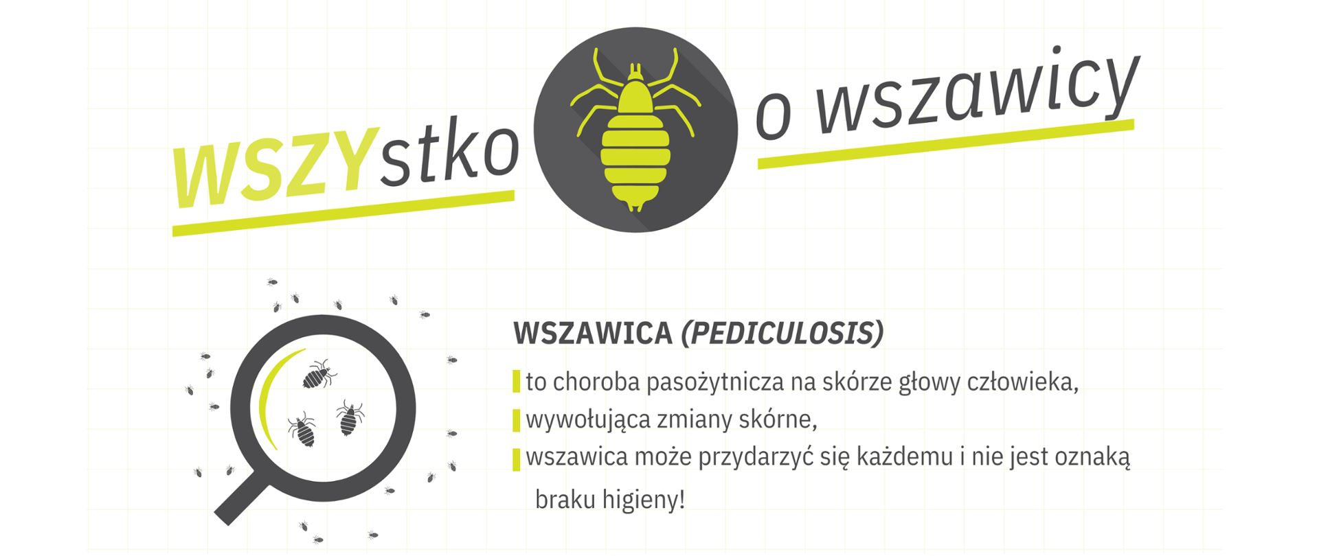 Napis Wszystko o wszawicy. W środku napisu zielona wsza. 