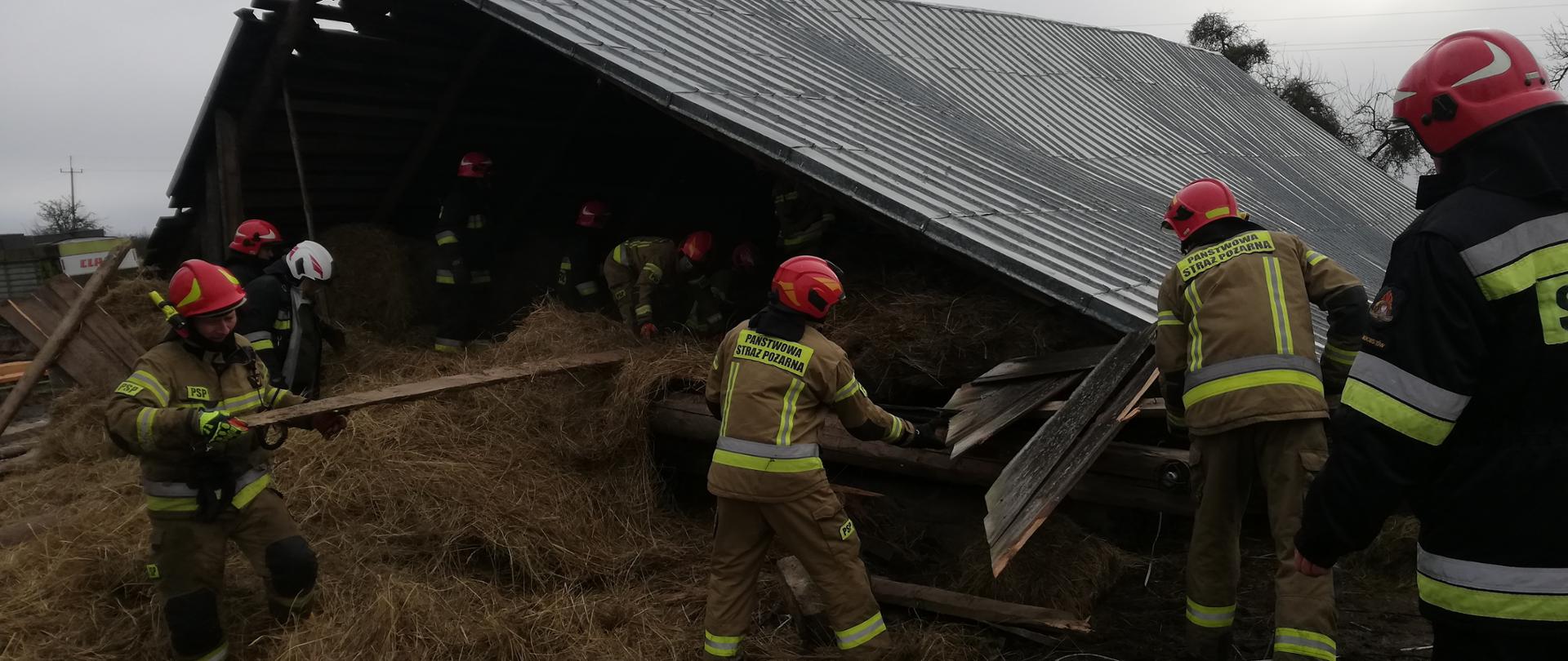 Strażacy wykonują dostęp do uwięzionych zwierząt