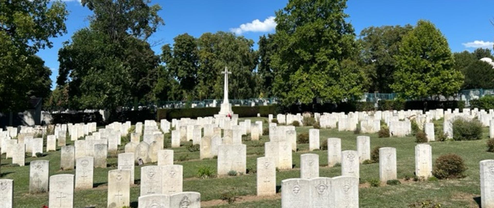 Brytyjski Cmentarz Wojenny w Belgradzie.