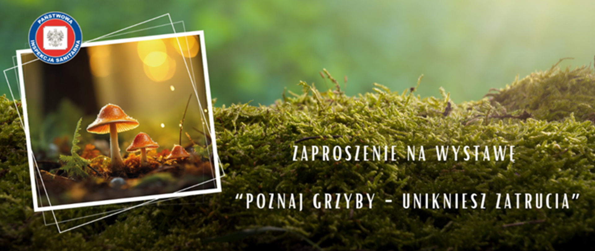 Na obrazku na tle mchu znajduje się zdjęcie roznących grzybów oraz napis "Zaproszenie na wystawę - Poznaj grzyby - unikniesz zatrucia"