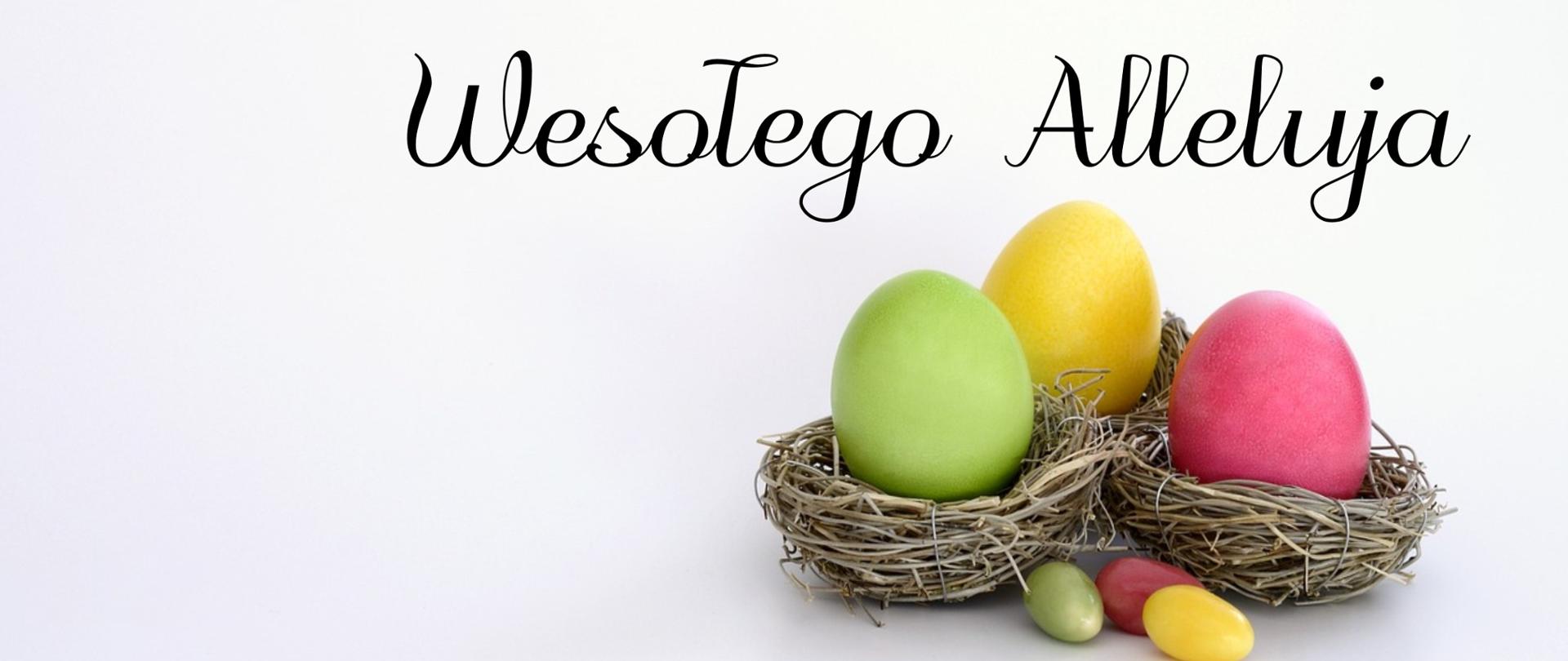 napis wesołego alleluja i pisanki w gniazdkach