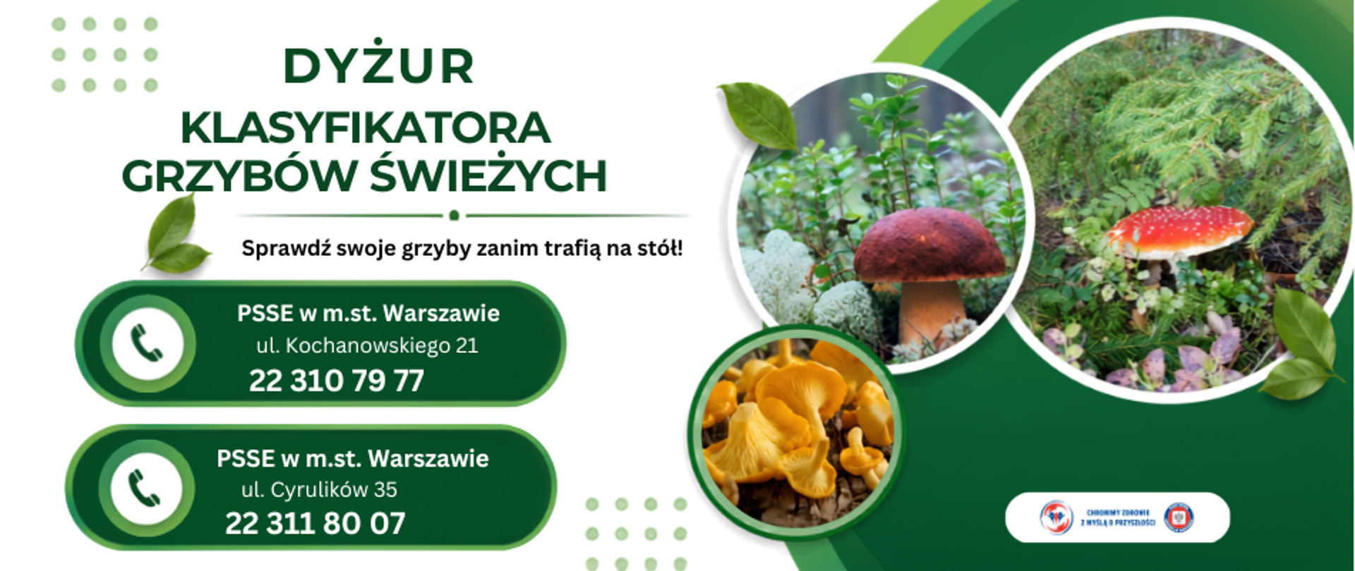 Dyżur_Klasyfilatora_Grzybów_świeżych