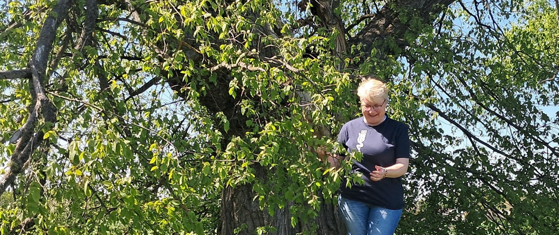 Bardzo duże stare drzewo z zielonymi liśćmi. Pod drzewem stoi uśmiechnięta kobieta
w koszulce z logo PIORiN