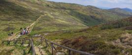 w Bieszczady