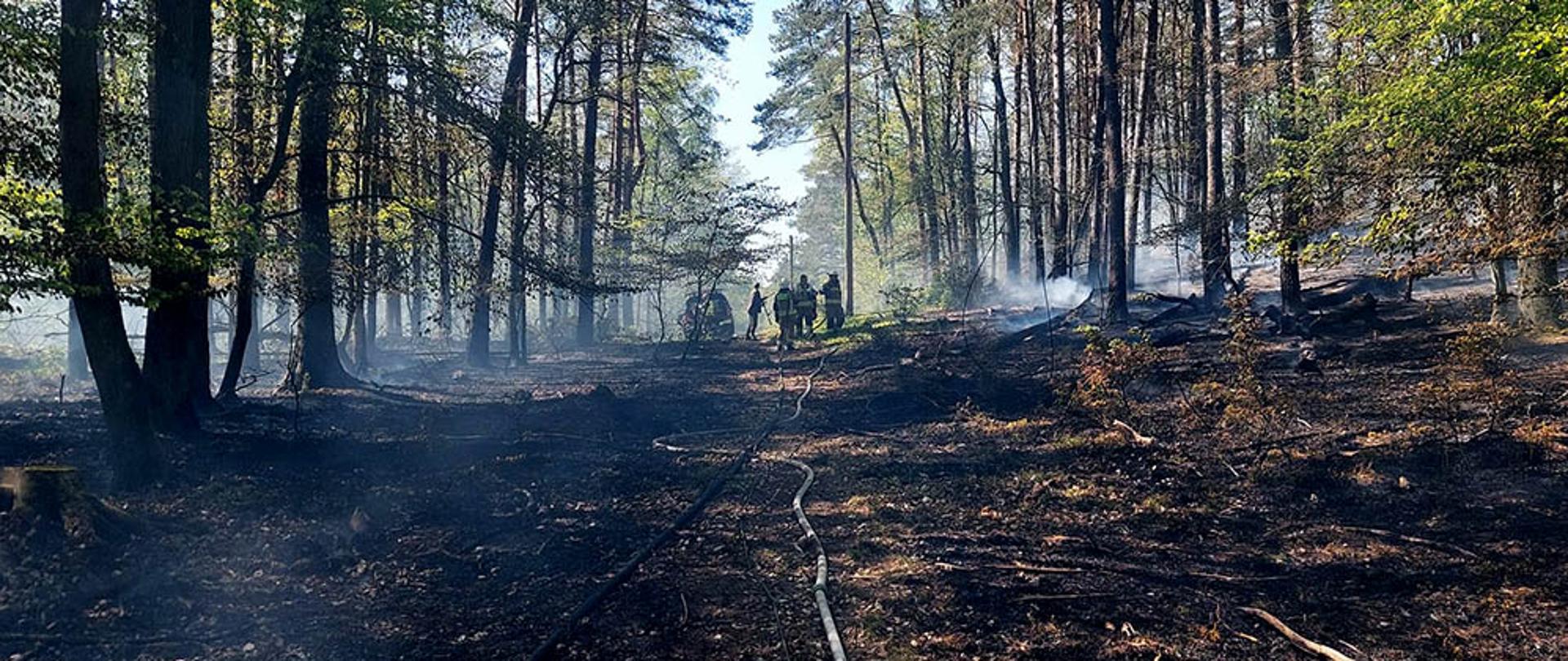 Pożary lasów, torfowisk i nieużytków w powiecie kamieńskim