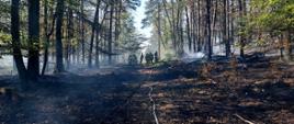 Pożary lasów, torfowisk i nieużytków w powiecie kamieńskim