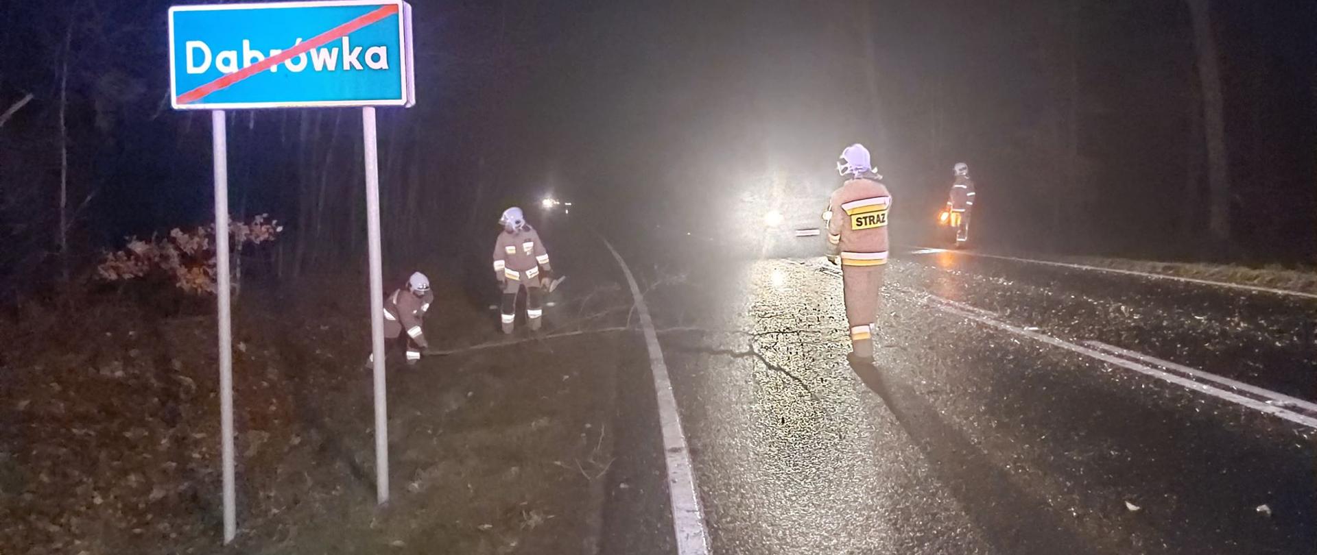 Skutki wichury w powiecie rawickim. Droga wojewódzka DW309 w miejscowości Dąbrówka. Pora nocna. czterech strażaków uczestniczy w akcji usuwania z jezdni gałęzi drzewa. jeden z nich trzyma w ręce pilarkę spalinową.