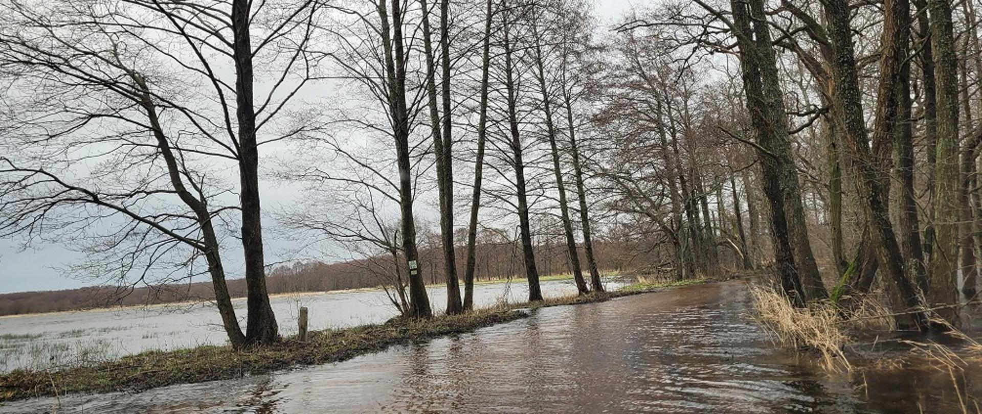 okolice_miejscowości_Poraj