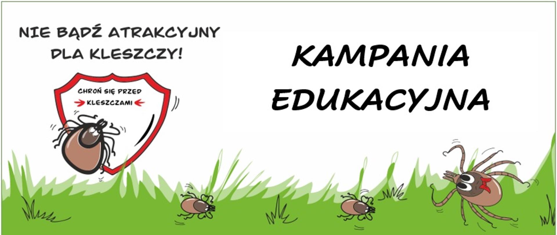 Nie bądź atrakcyjny dla kleszczy