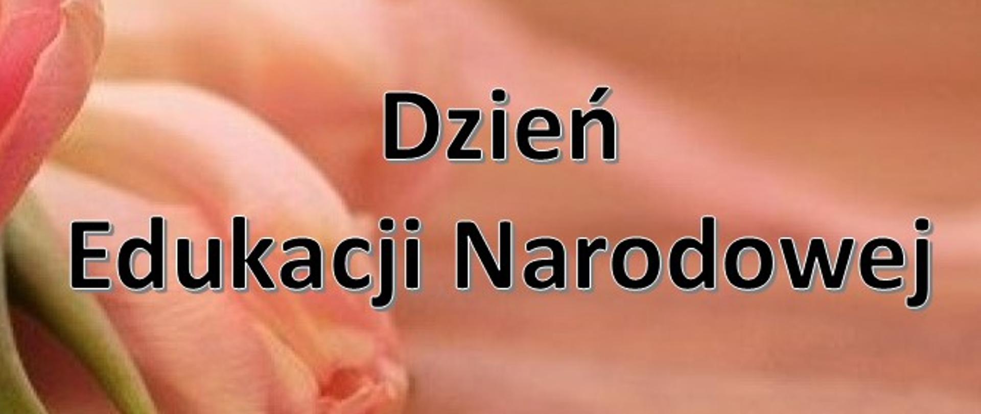 Zdjęcie z napisem Dzień Edukacji Narodowej; napis w kolorze czarnym, w tle kwiaty bladoróżowe tulipany 