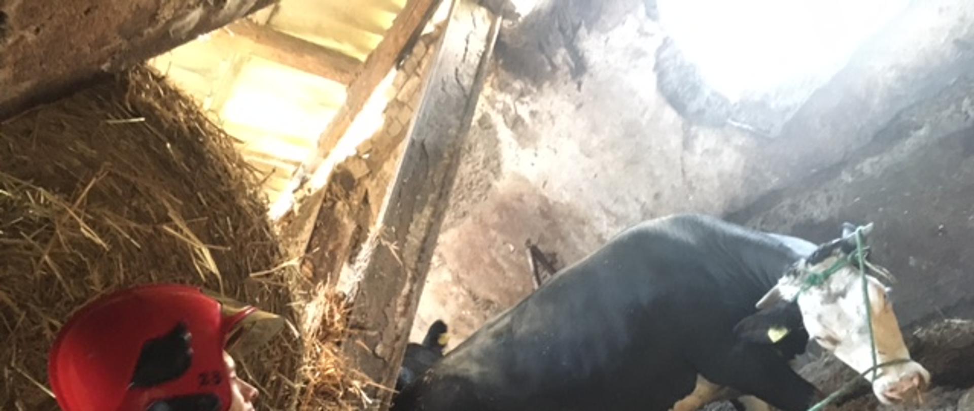 Budynek inwentarski w Pruścach