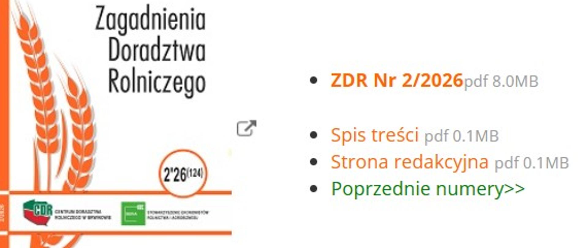 zrzut ekranu ze strony czasopisma