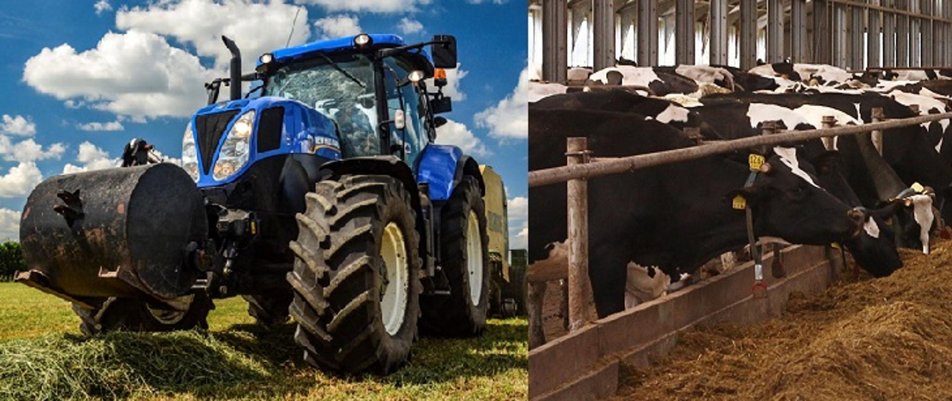 Inwestycje w gospodarstwach rolnych zwiększające konkurencyjność - start naboru 20 listopada