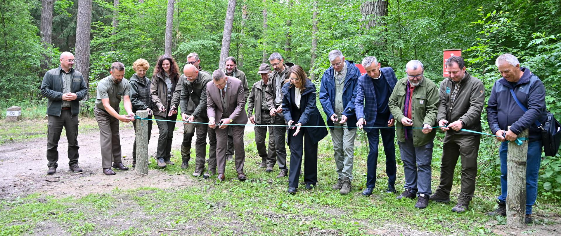 Oficjalne otwarcie rezerwatu przyrody Dęby Węgrzynowskie - 16.06.2026 r. przecięcie wstęgi, fot. Paweł Kaczorowski Nadleśnictwo Miradz