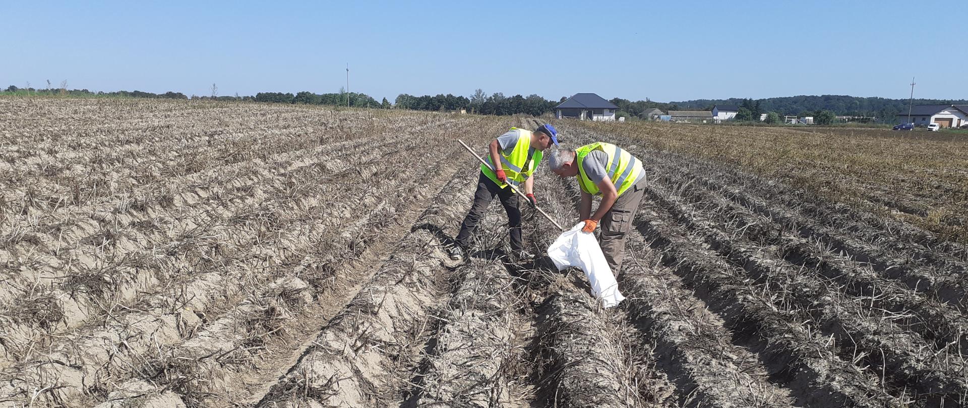 Inspektorzy WIORiN w trakcie pobierania prób - fot. S. Tarbicki