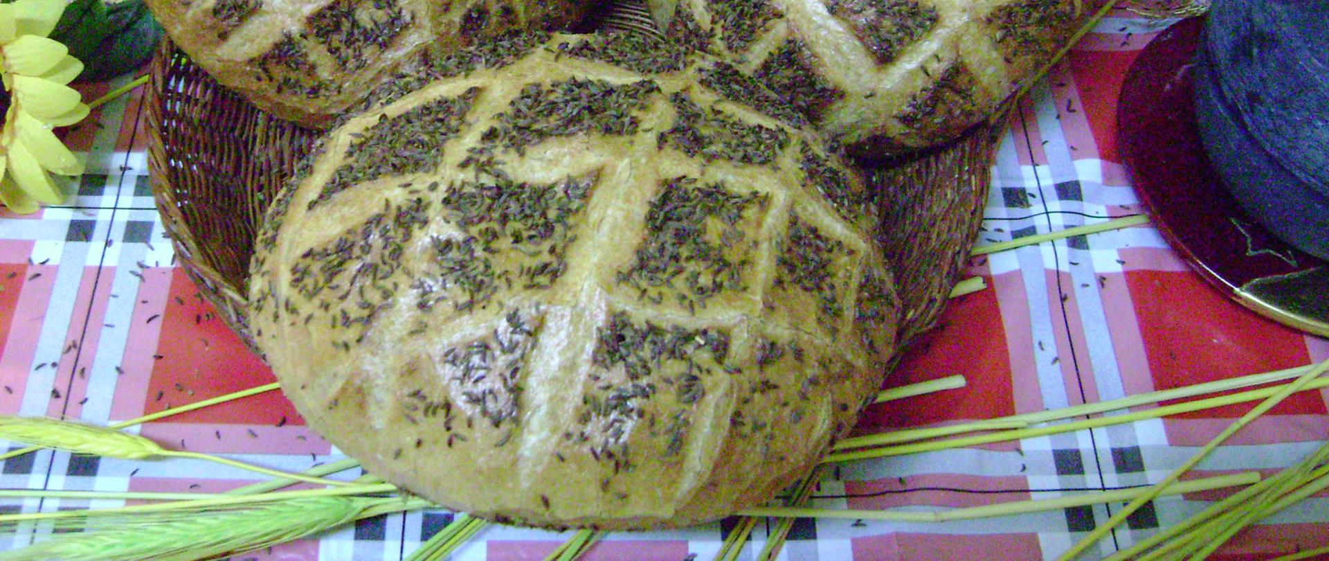 Chleb z kminkiem ze Stolna