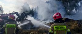 Widok od tyłu. Dwóch strażaków KP PSP w Wadowicach podaje dwa prądy gaśnicze w jedną część palącego się stogu. W tle po lewej stronie maszyna rolnicza przenosząca spaloną słomę. W tle po prawej stronie duże zadymienie. 