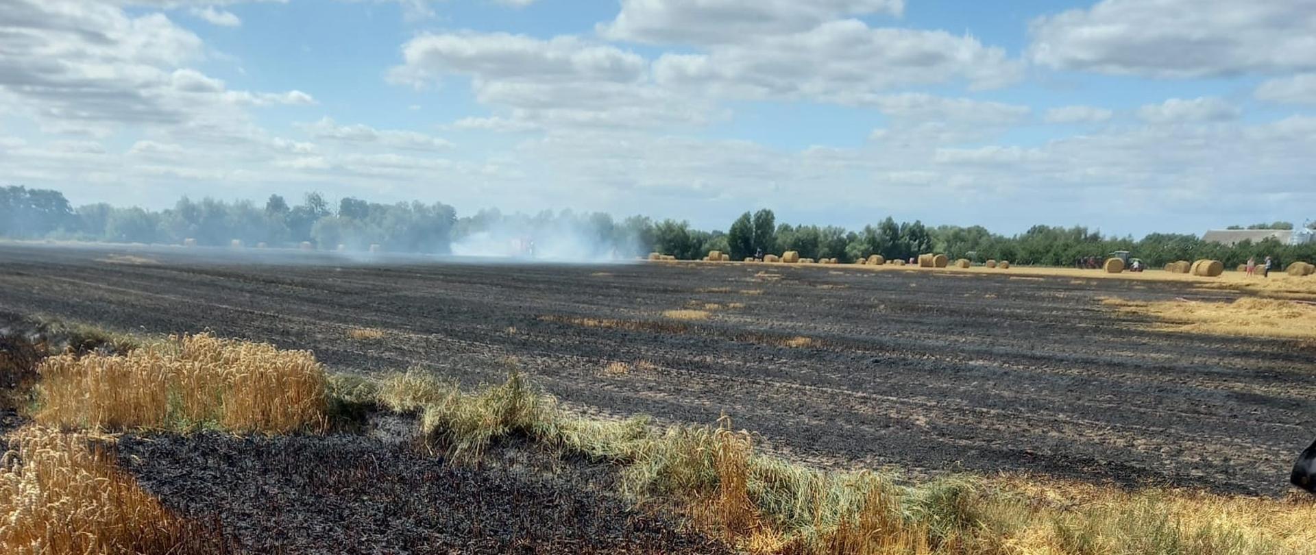 Spalone ściernisko i zboże