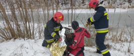 Dwóch strażaków tuż po uratowaniu psa z wody próbuje okryć wychłodzone zwierzę folią termoizolacyjną.