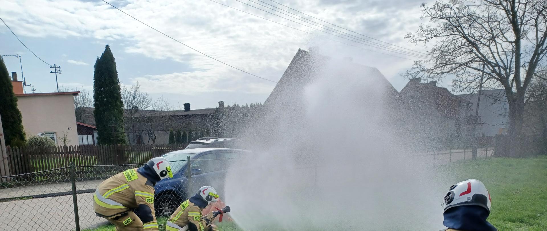 IGO na terenie powiatu działdowskiego