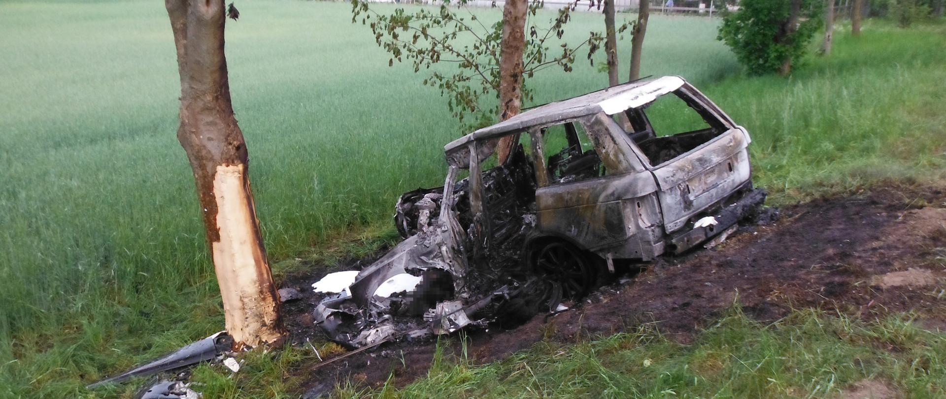 Spalony samochód osobowy na poboczu drogi. Obok drzewo z obdartym z kory pniem.