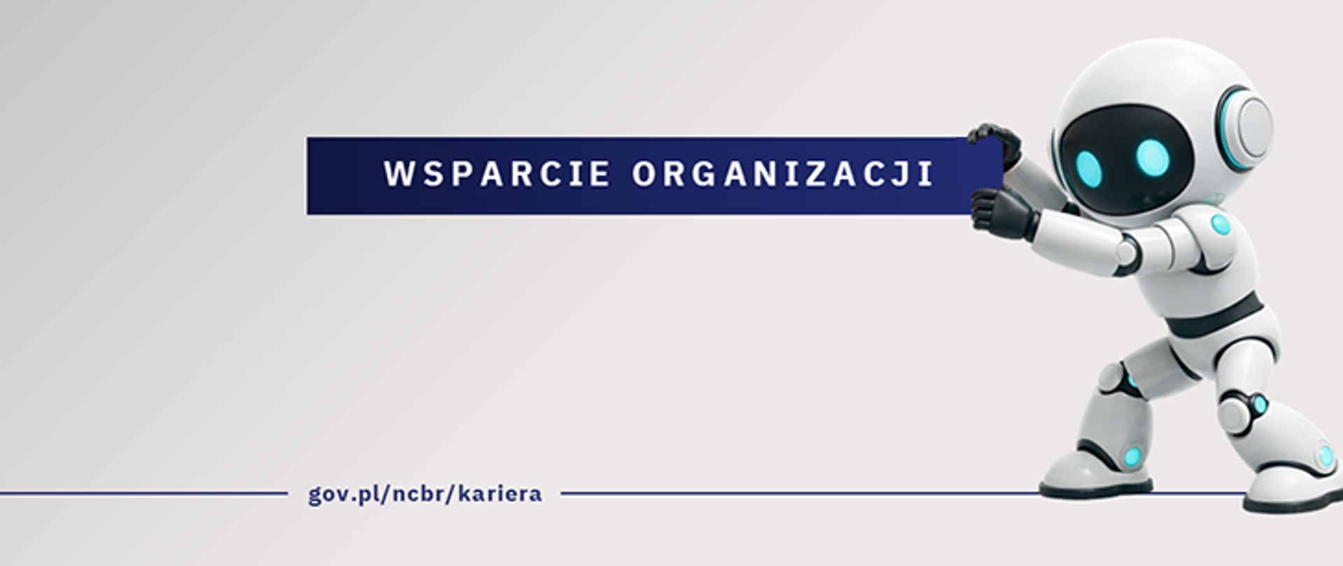 NCBR_wsparcie_organizacji