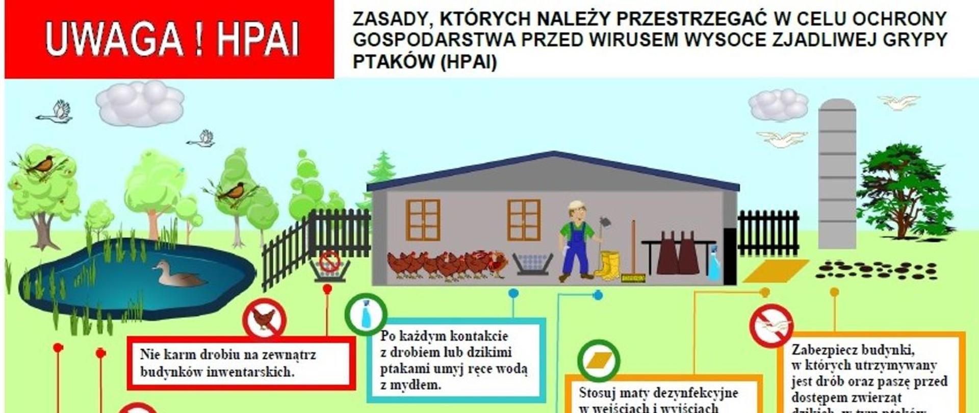 Obrazek przedstawiający gospodarstwo wraz z ptactwem domowym. na obrazku gospodarz oraz różne informacje co robić aby zachować bezpieczeństwo
