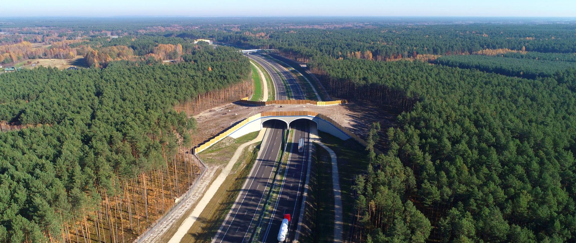 Widok na S19 Lasy Janowskie - Zdziary