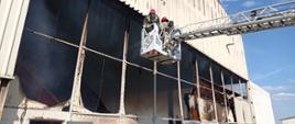 Zdjęcie przedstawia strażaków gaszących pożar w zakładzie produkującym biomasę, którzy z kosza drabiny mechanicznej podają prąd wody na paląca się halę produkcyjno - magazynową.
W tle hala produkcyjno – magazynowa.
