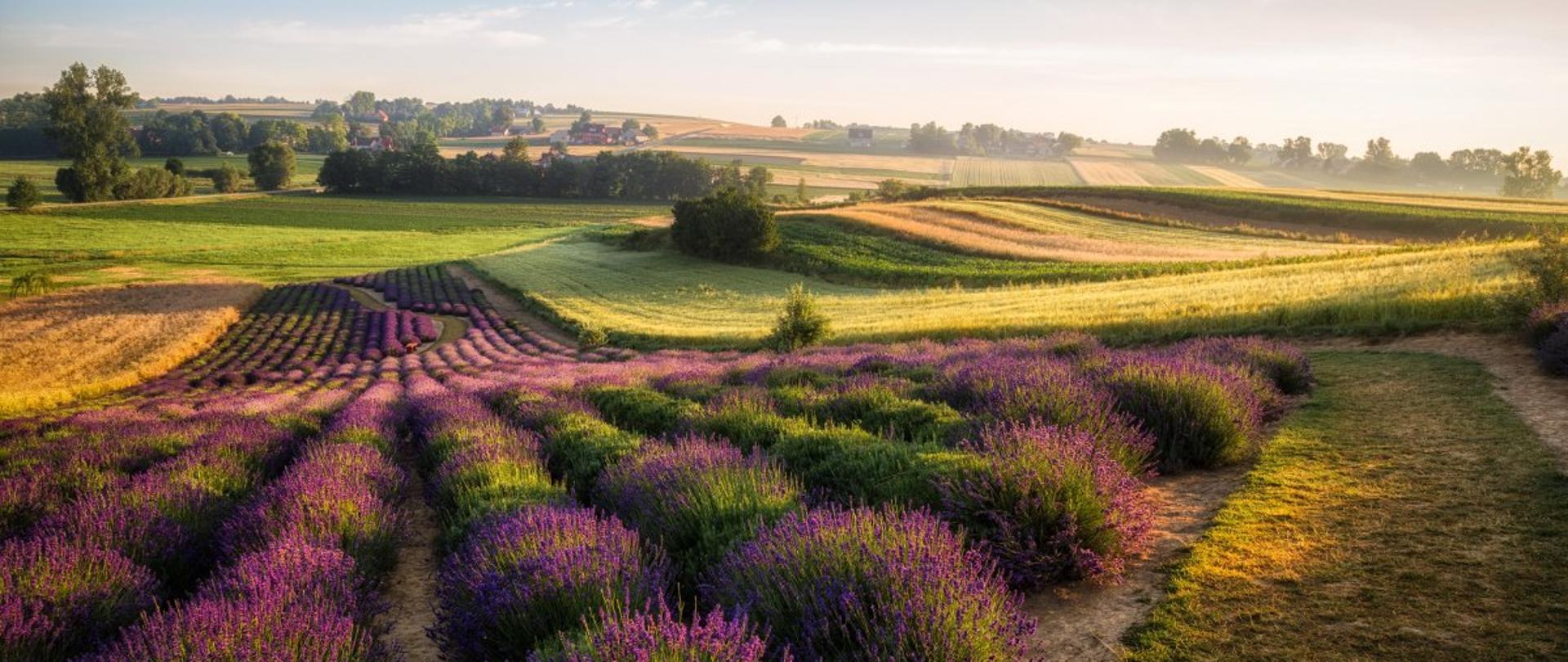 Wybrano zwycięzców drugiej edycji „Na wsi najlepiej - 12 dobrych praktyk w turystyce wiejskiej”