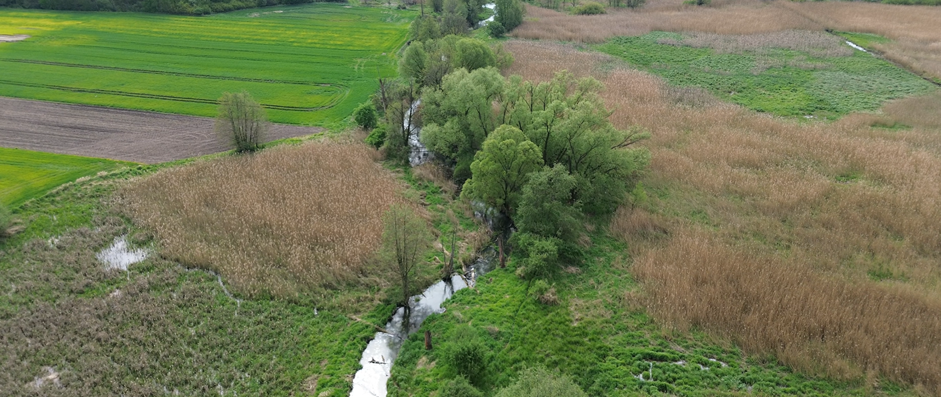 Zdjęcie przedstawia rzekę Widawę