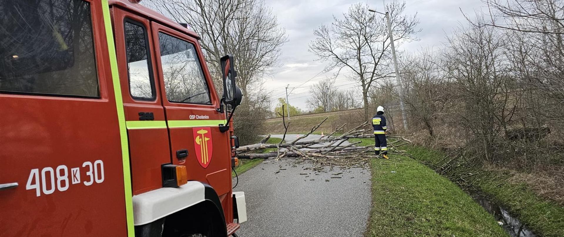 Zdjęcie przedstawia powalone drzewo na skutek silnych wiatrów. Na zdjęciu na jezdni widać przewrócone drzewo obok niego stoi strażak ubrany w czarne ubranie specjalne na głowie ma hełm. Po lewej stronie widać cześć czerwonego pojazdu pożarniczego który na drzwiach przednich od strony prawej ma napis OSP Chodenice, herb. Na tylnych prawych drzwiach znajduje się numer operacyjny 408K30.W oddali widać tory kolejowe.