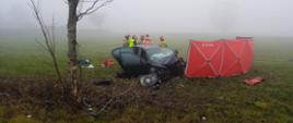 Na środku zdjęcia znajduje się rozbity czarny samochód osobowy na łące za którym stoją strażacy, policjant i ratownik medyczny. Po prawej stronie pojazdu znajduje się rozłożony czerwony parawan zasłaniający, natomiast po lewej stronie znajduje się drzewo. 