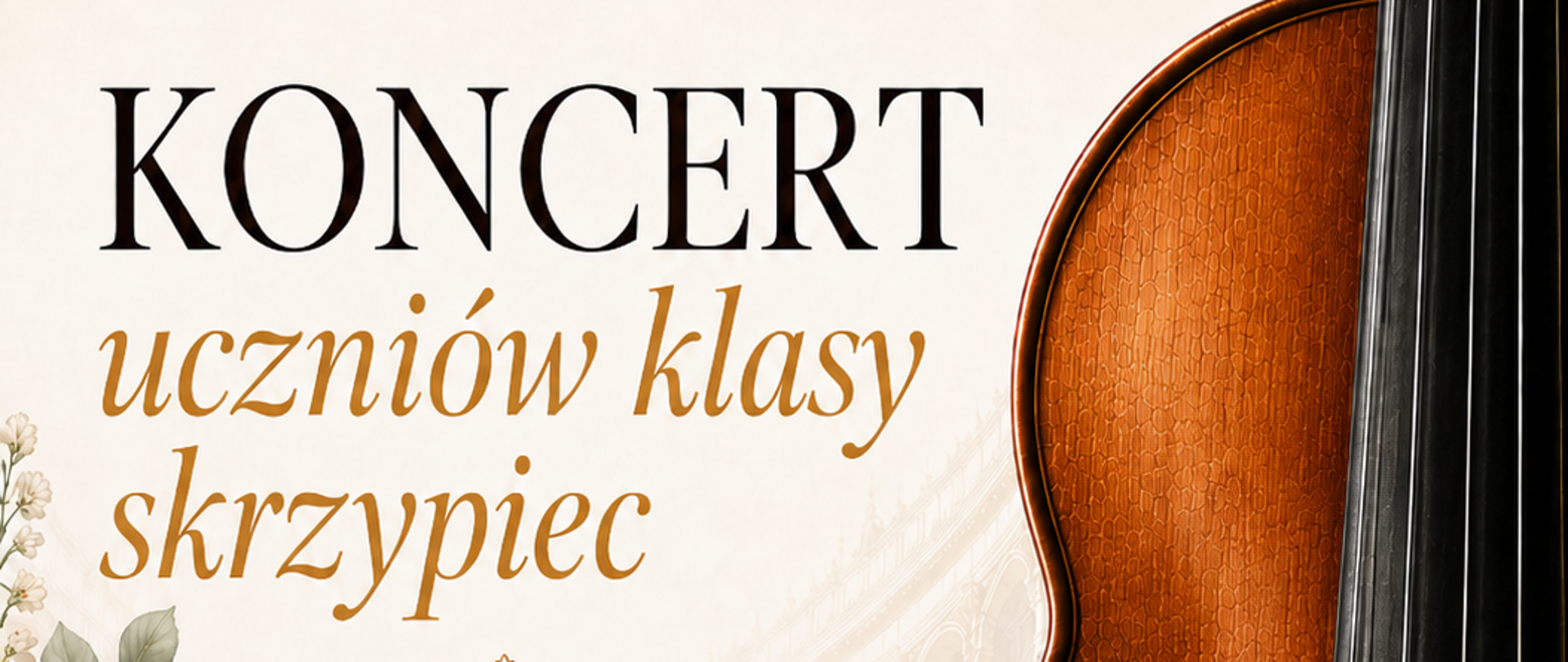 koncert skrzypiec