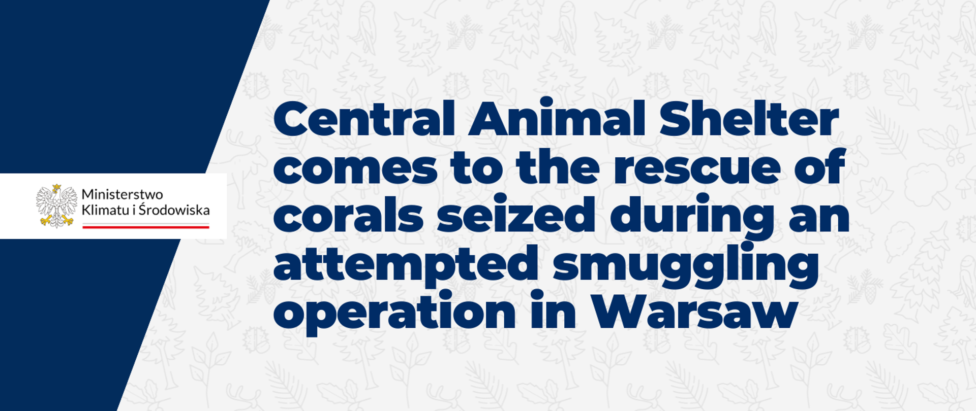 Central Animal Shelter comes to the rescue of corals seized during an attempted smuggling operation in Warsaw - the text appears on a graphic with a light background featuring repeating forest-related motifs, such as leaves. On the left-hand side, the logo of the Ministry of Climate and Environment is displayed.