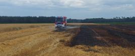 Pożar słomy i ścierniska. Pola w okolicy miejscowości Kołaczkowice. Na tle lasu wóz strażacki, którym przy wykorzystaniu instalacji zraszaczowej dogaszane jest ściernisko.